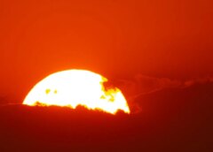 França registra 40 mortes em cinco dias devido ao calor extremo